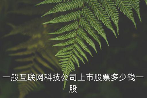 一般互联网科技公司上市股票多少钱一股