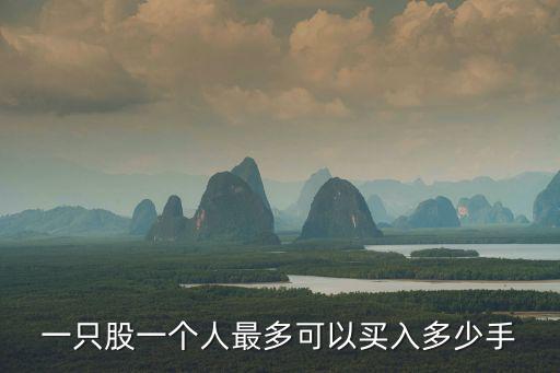 一只股一个人最多可以买入多少手