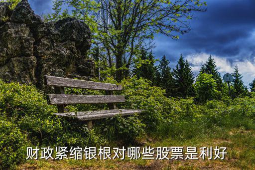 财政紧缩银根对哪些股票是利好