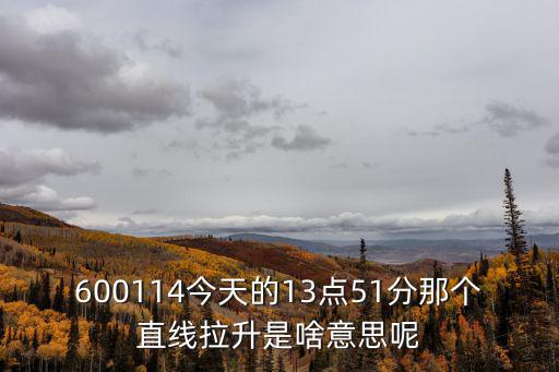 股票600114等于多少，600114今天的13点51分那个直线拉升是啥意思呢 PH你就快回答吧真