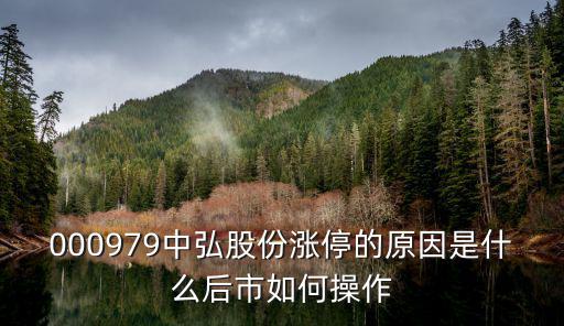 物业股票为什么涨停，金隅股份原来股票的名称