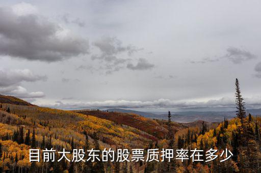 目前大股东的股票质押率在多少