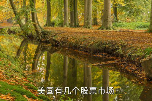 美国有几个股票市场