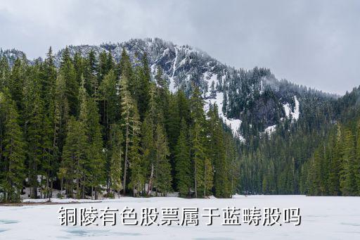 铜陵有色是什么股票，铜陵有色股票属于蓝畴股吗