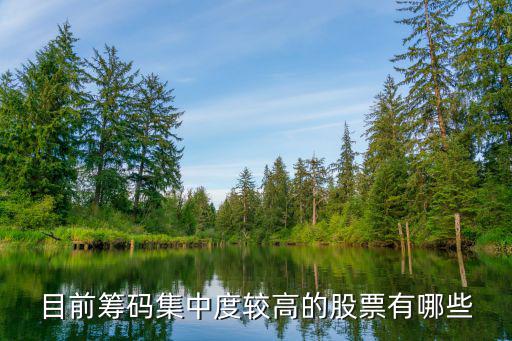 目前筹码集中度较高的股票有哪些