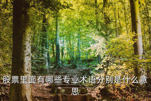 股票里面有哪些专业术语分别是什么意思