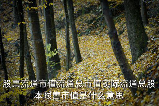 股票流通市值流通总市值实际流通总股本限售市值是什么意思