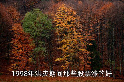 1998年洪灾期间那些股票涨的好