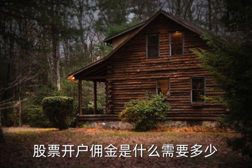 股票开户佣金是什么需要多少