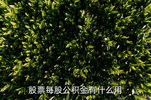股票每股公积金有什么好处，股票公积金是什么有什么用