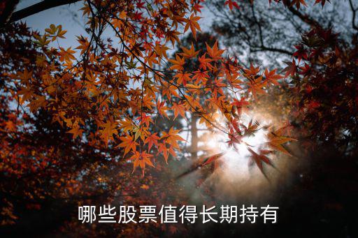 哪些股票值得长期持有