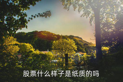 股票什么样子是纸质的吗