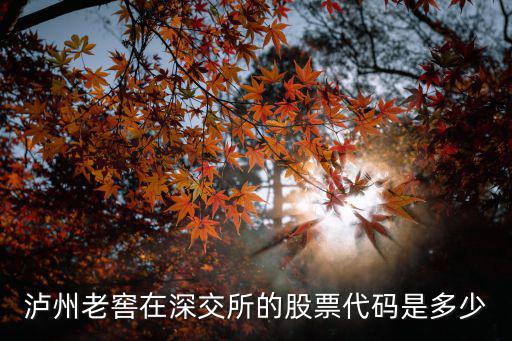 泸州老窖在深交所的股票代码是多少