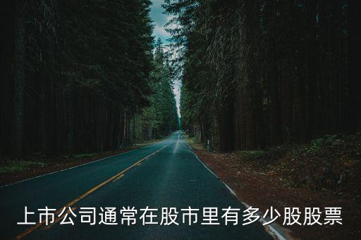 上市公司通常在股市里有多少股股票