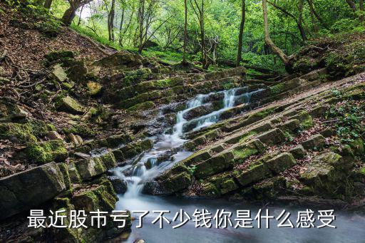 股票跌了是什么感觉，上市公司老总看到自己公司股票跌停是什么感受
