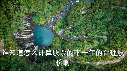 谁知道怎么计算股票的下一年的合理股价啊
