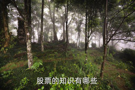 股票的知识有哪些