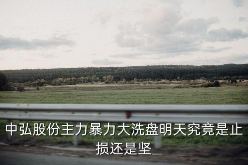 中弘股份主力暴力大洗盘明天究竟是止损还是坚