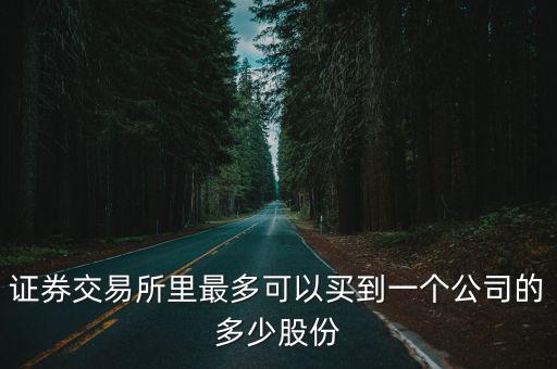 股票公司最多持有多少股，一个上市公司最多能发多少股