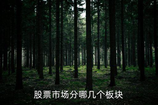 股票市场分哪几个板块