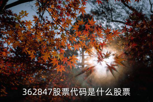 数字经济支持什么股票，经济市场现在什么股票最好