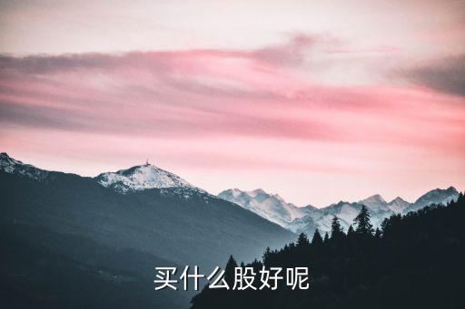 买什么股好呢