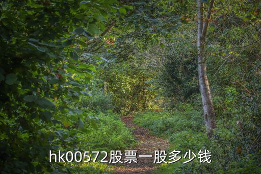 hk00572股票一股多少钱