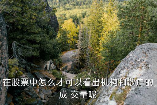 股票如何看有多少散户买，在股票中怎么才可以看出机构和散户的成 交量呢