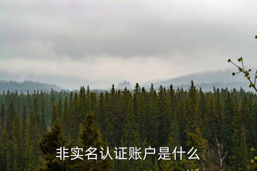 非实名认证账户是什么