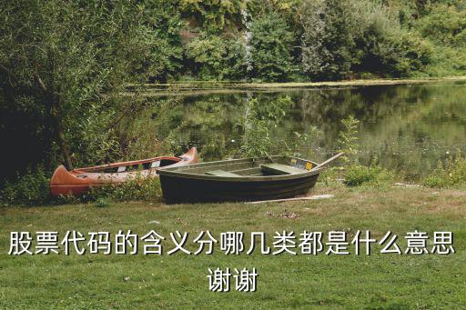 股票代码的含义分哪几类都是什么意思谢谢