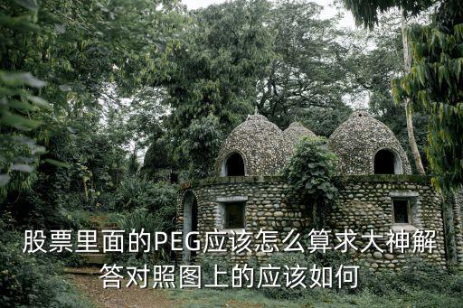 股票里面的PEG应该怎么算求大神解答对照图上的应该如何