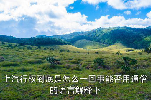 上汽行权到底是怎么一回事能否用通俗的语言解释下