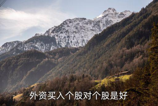 外资买入个股对个股是好