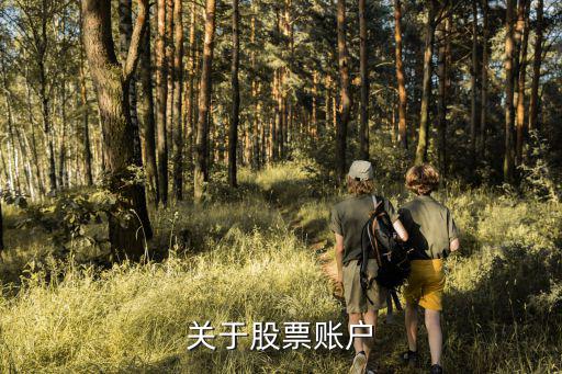 关于股票账户