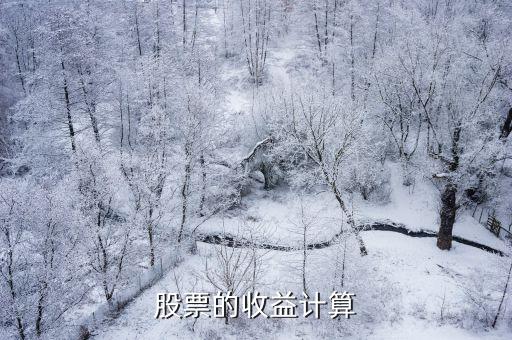股票的收益计算