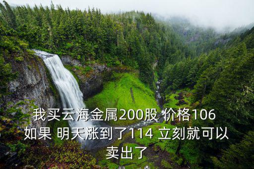 云海金属股票今年涨了多少，云海金属15元买入后市如何操作