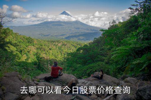 去哪可以看今日股票价格查询