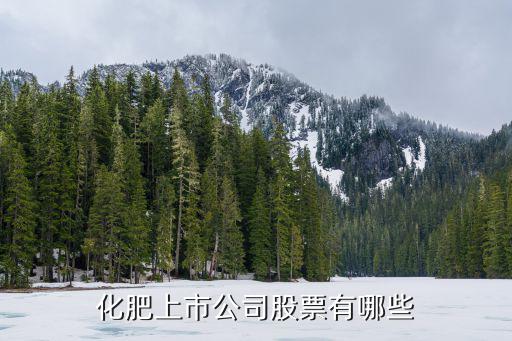 化肥上市公司股票有哪些