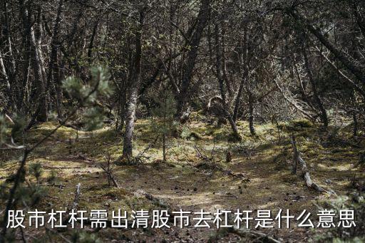股市杠杆需出清股市去杠杆是什么意思