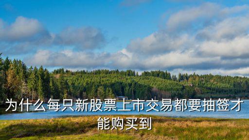 为什么每只新股票上市交易都要抽签才能购买到