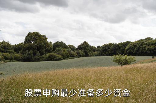 股票中签要多少本金，新股中签要多少钱