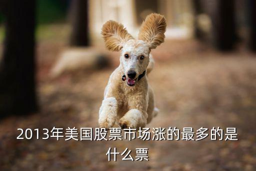 2013年美国股票市场涨的最多的是什么票