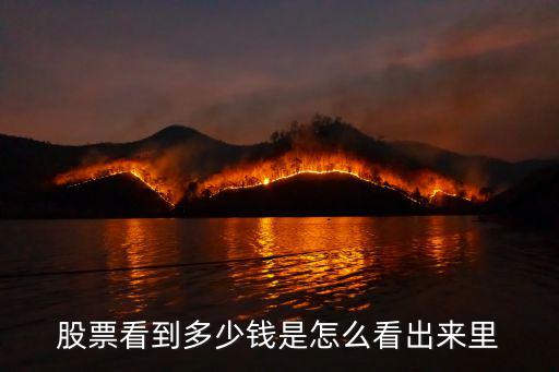 股票中经名单多少钱，股票看到多少钱是怎么看出来里