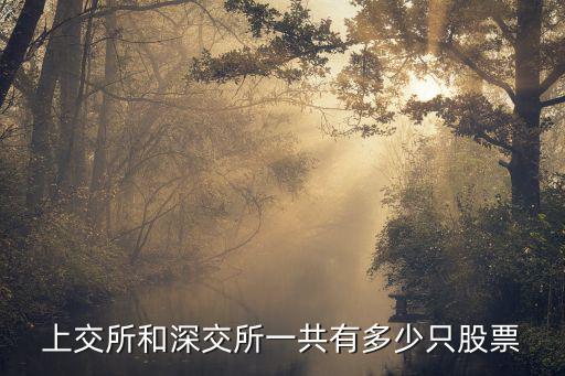 上交所和深交所一共有多少只股票