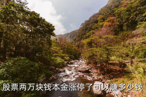 股票涨停有多少回报，新股中签1000股5元市值股票假如到第15板能收益多少
