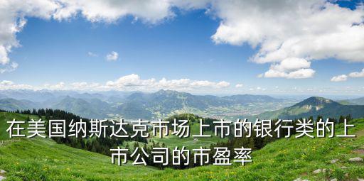美国银行股票的市盈率多少，在美国纳斯达克市场上市的银行类的上市公司的市盈率