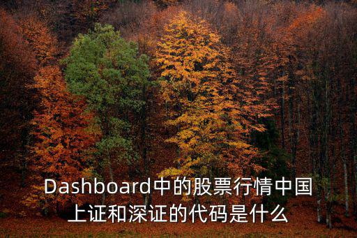 北京证交所股票编码是多少，Dashboard中的股票行情中国上证和深证的代码是什么
