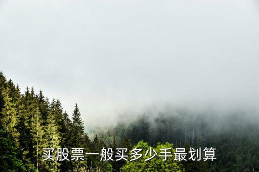 买股票一般买多少手最划算