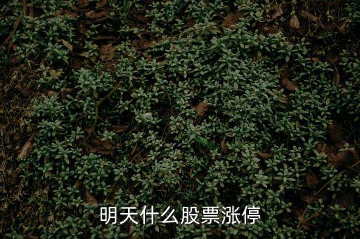 明天什么股票涨停