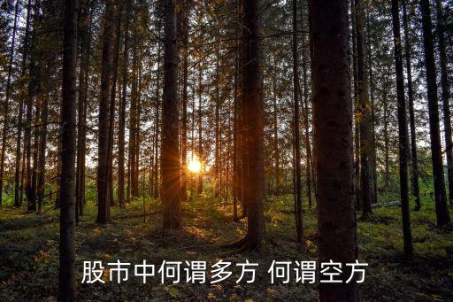 股市中何谓多方 何谓空方